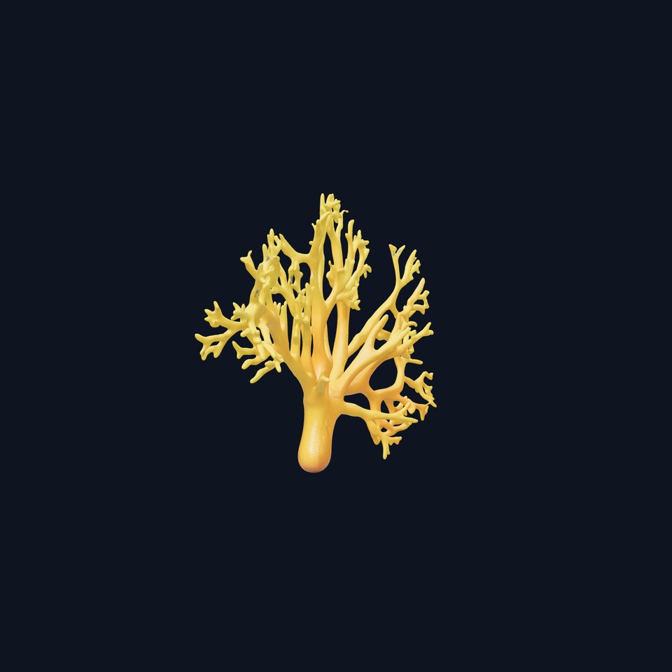 Yellow Coral Model Pack for Realistic Rendering and Simulation